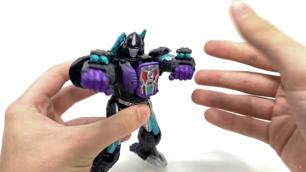 Transformers Worlds Collide 4 Pack In Hand Images  (12 of 42)